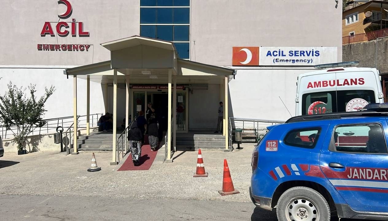 ceviz toplamak icin agaca cikti dusup hayatini kaybetti it4FeBOh