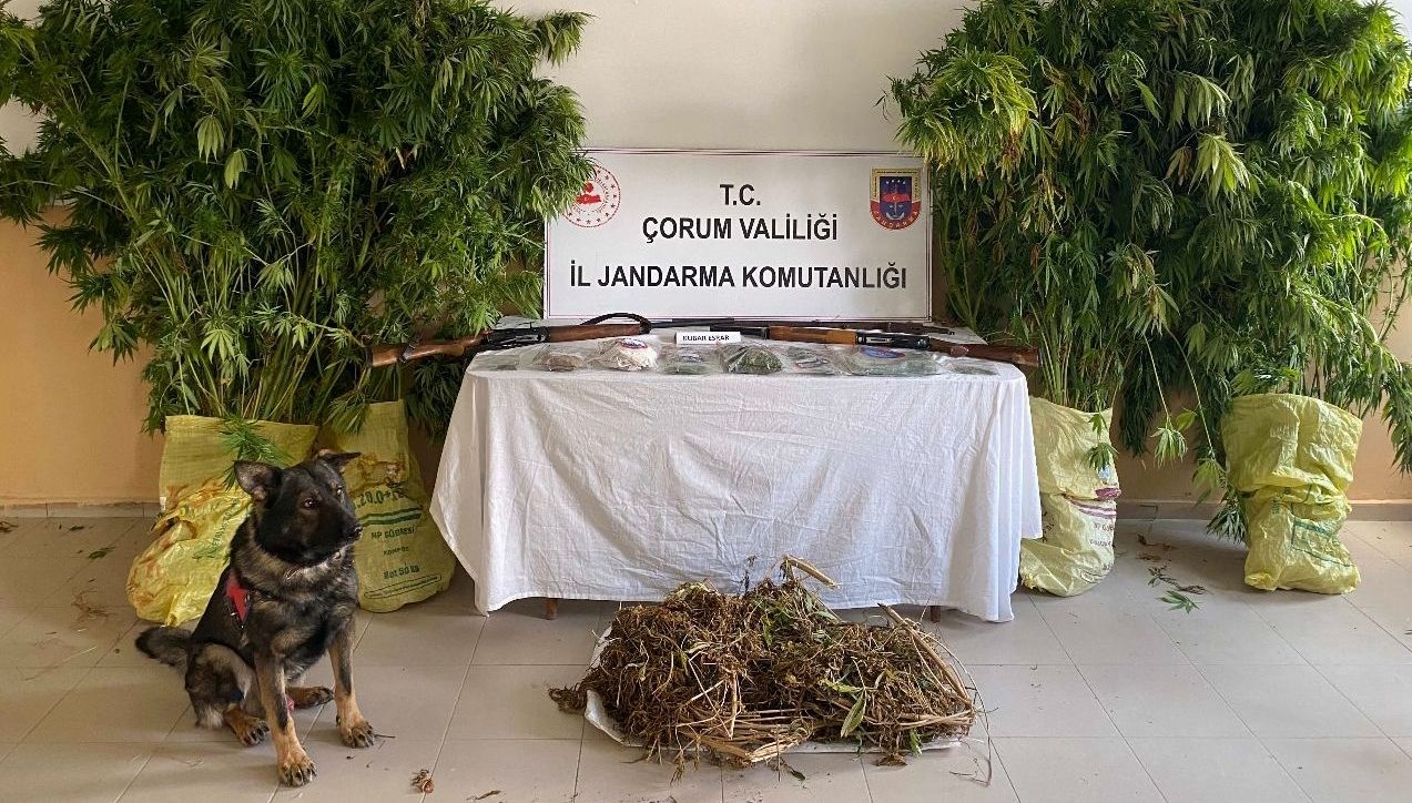 Çorum’da uyuşturucu tacirlerine operasyon