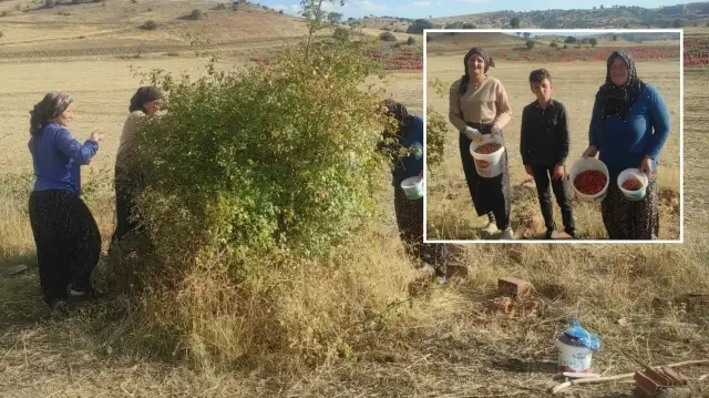 toplamasi zahmetli sifasi saymakla bitmiyor txxE1Xsr