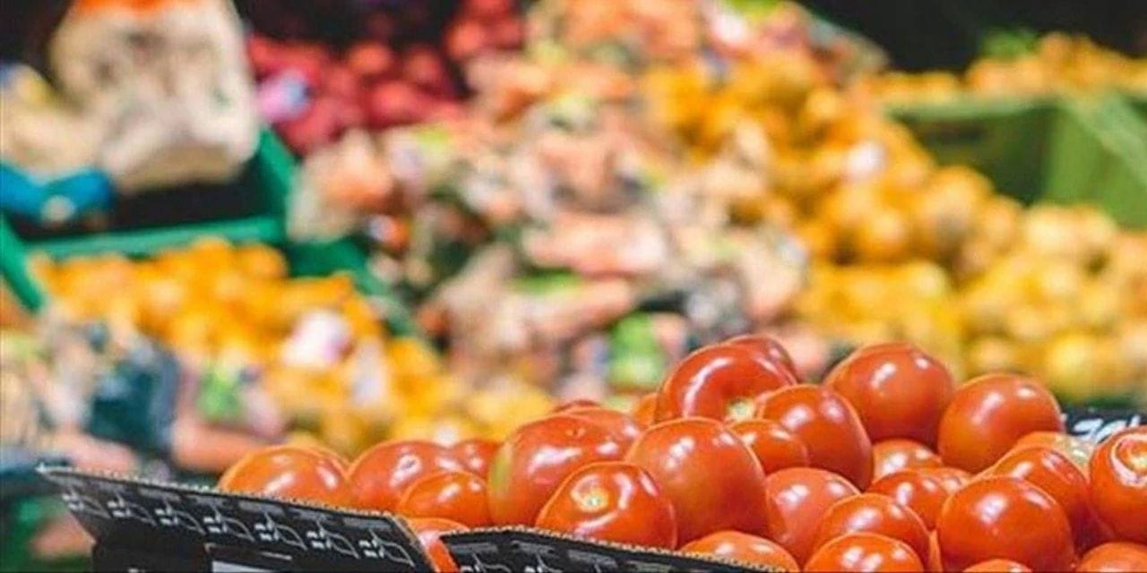 eylul ayi zam sampiyonu bir yesillik oldu DpNTFDrk