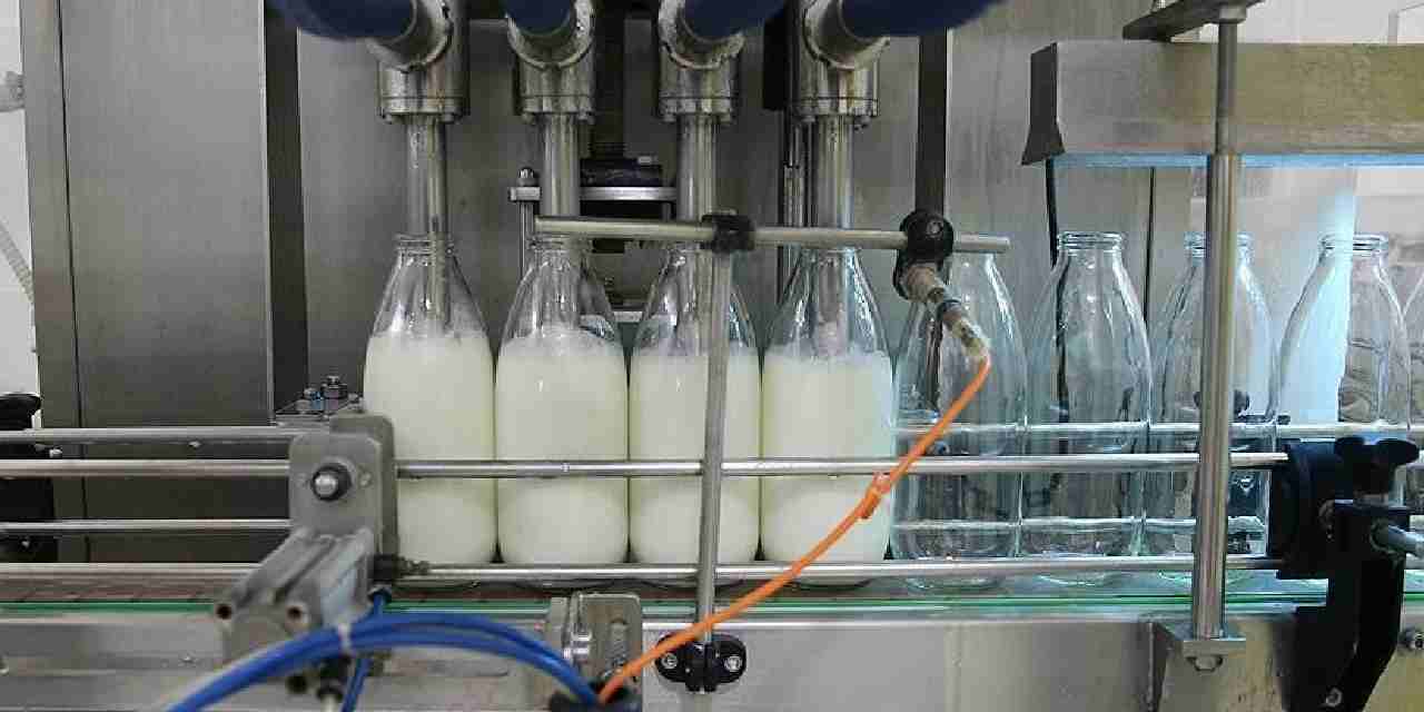 toplanan inek sutu miktari agustosta dustu KlGpCijs.jpg