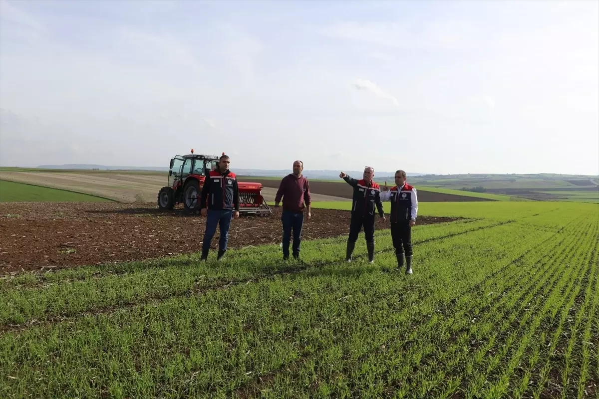 Edirne’de Buğdayda Yeni Ekim Yöntemleri Denenecek