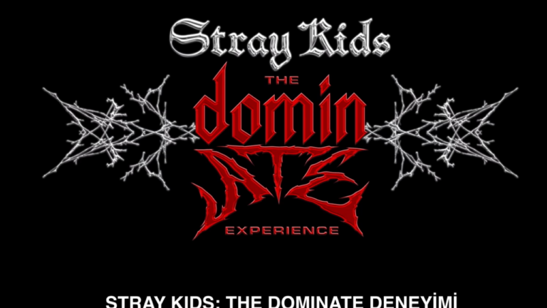 stray-kids-beyaz-perdeye-geliyor-the-dominate-deneyiminden-ilk-fragman-yayinlandi-OjA353mB.png