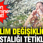 iklim-degisikligi-o-hastaligi-tetikliyor-polen-mevsimine-dikkat-m6fAJB8X